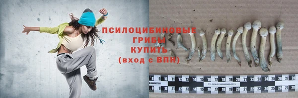 ПСИЛОЦИБИНОВЫЕ ГРИБЫ Беломорск