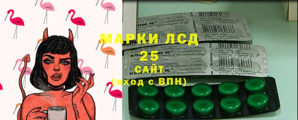 ПСИЛОЦИБИНОВЫЕ ГРИБЫ Беломорск