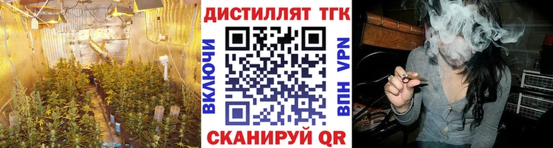 цена наркотик Коркино Дистиллят ТГК THC oil