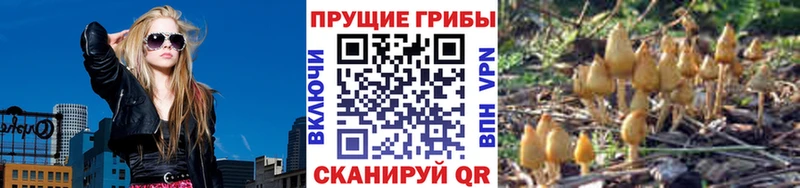 Псилоцибиновые грибы мицелий  сколько стоит  Коркино 